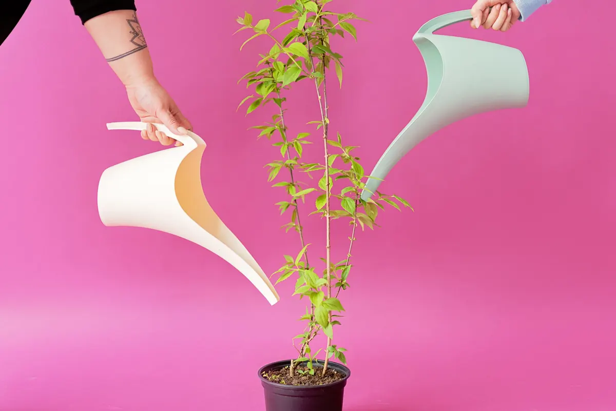 Plant Care