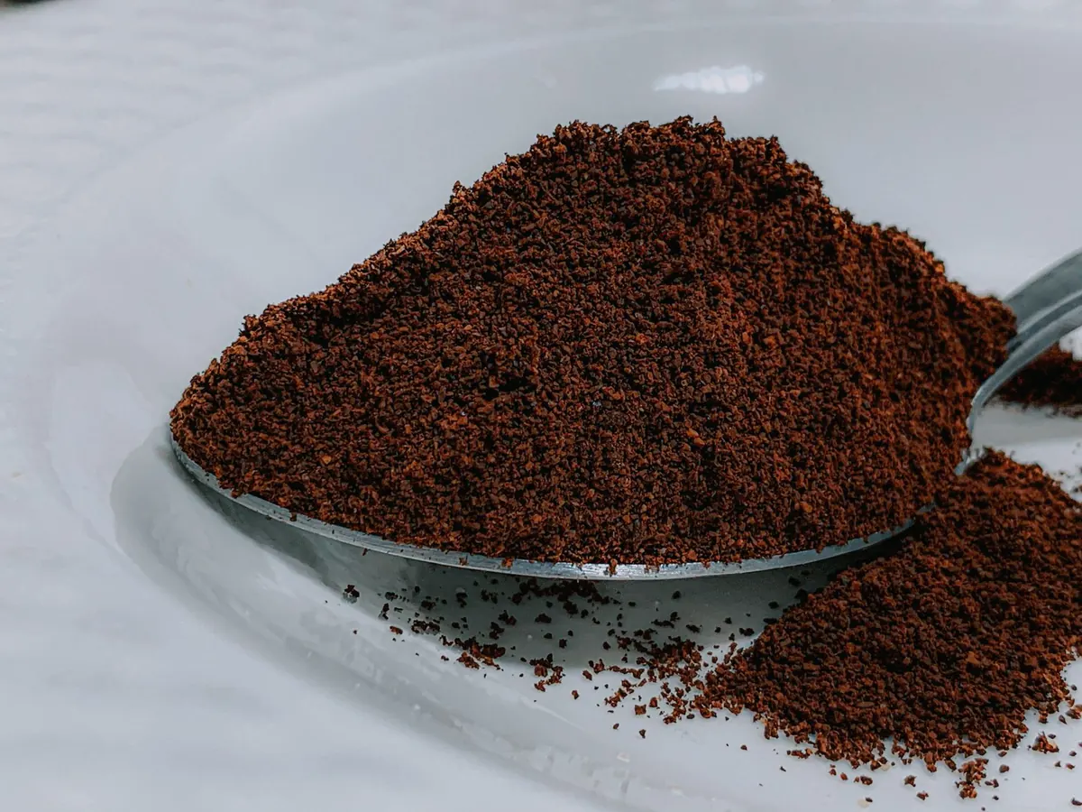 Do Houseplants Grow Better with Coffee Grounds? A Simple Controlled Experiment